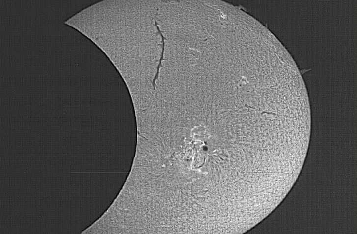 The Sun in Hydrogen Alpha
