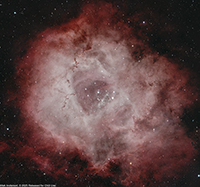 Rosette Nebula